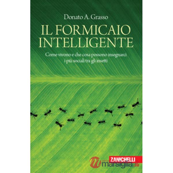 IL FORMICAIO INTELLIGENTE