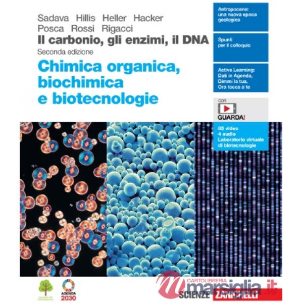 CARBONIO, GLI ENZIMI, IL DNA 2ED. (IL). EBOOK M. ORGANICA, BIOCHIM, BI