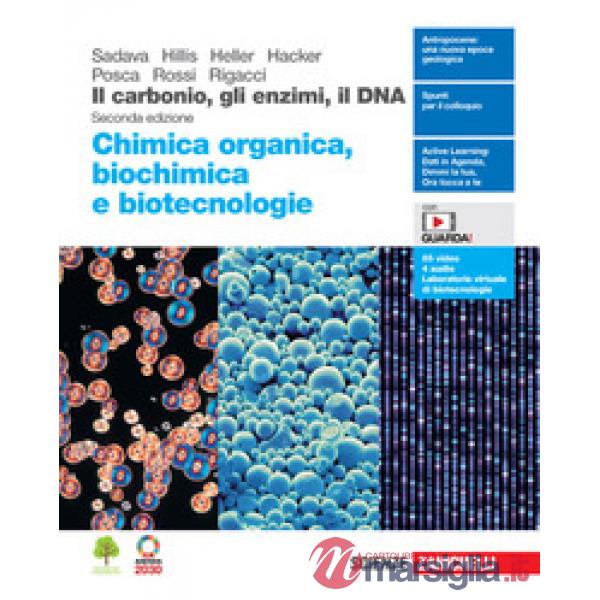IL CARBONIO GLI ENZIMI IL DNA. CHIMICA ORGANICA BIOCHIMICA E BIOTECNOL