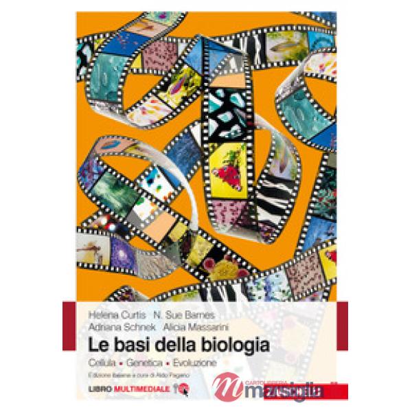 BASI BIOLOGIA LUM