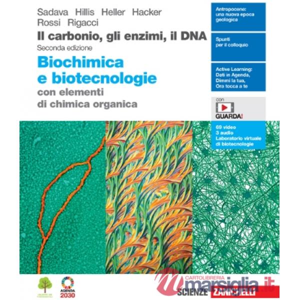 CARBONIO, GLI ENZIMI, IL DNA 2ED. (IL). CON ELEM. CHIM. ORG. - EBOOK M