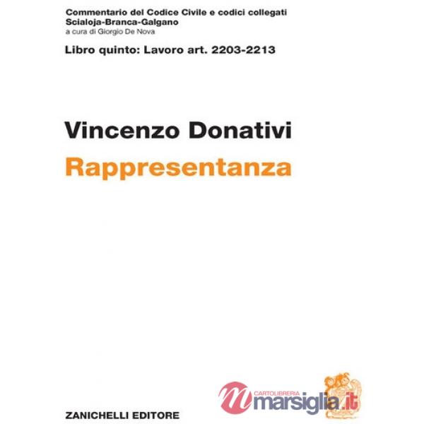RAPPRESENTANZA