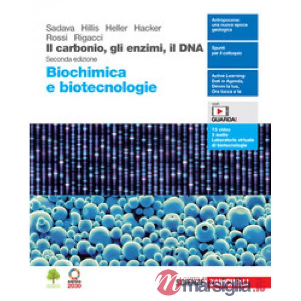 IL CARBONIO GLI ENZIMI IL DNA BIOCHIMICA E BIOTECNOLOGIE
