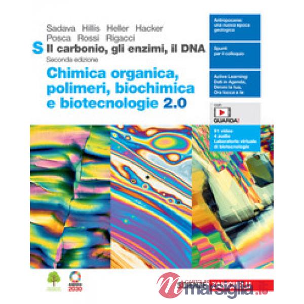 IL CARBONIO GLI ENZIMI IL DNA. CHIMICA ORGANICA POLIMERI BIOCHIMICA BI