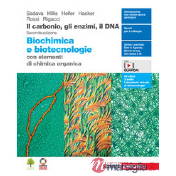 IL CARBONIO GLI ENZIMI IL DNA. BIOCHIMICA E BIOTECNOLOGIE CON CHIMICA