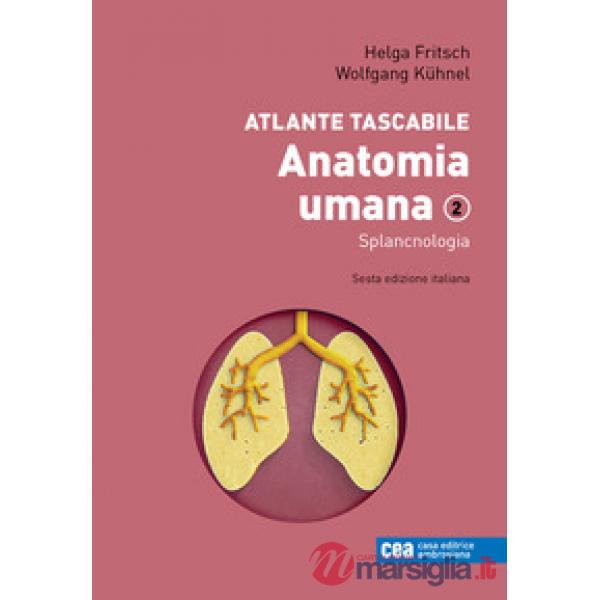 ANATOMIA UMANA 2