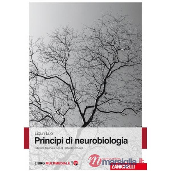 PRINCIPI DI NEUROBIOLOGIA LUM