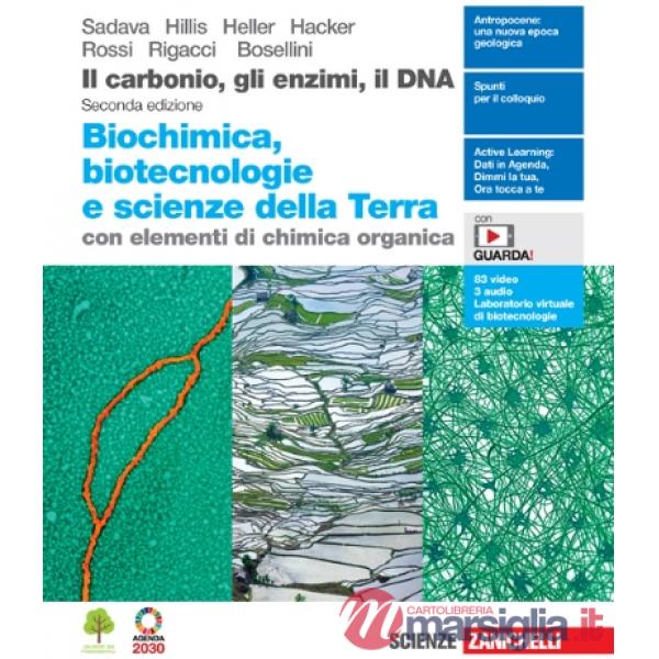 CARBONIO, GLI ENZIMI, IL DNA 2ED. (IL). CON SCIENZE TERRA - EBOOK MULT
