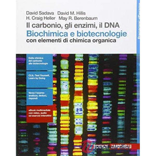 CARBONIO ENZIMI DNA BIOCHIMICA E BIOTECNOLOGIE + C