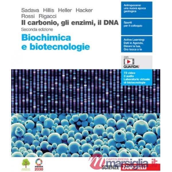 CARBONIO, GLI ENZIMI, IL DNA 2ED. (IL). BIOCHIMICA E BIOTECNOLOGIE - E