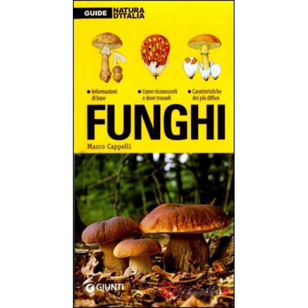Funghi