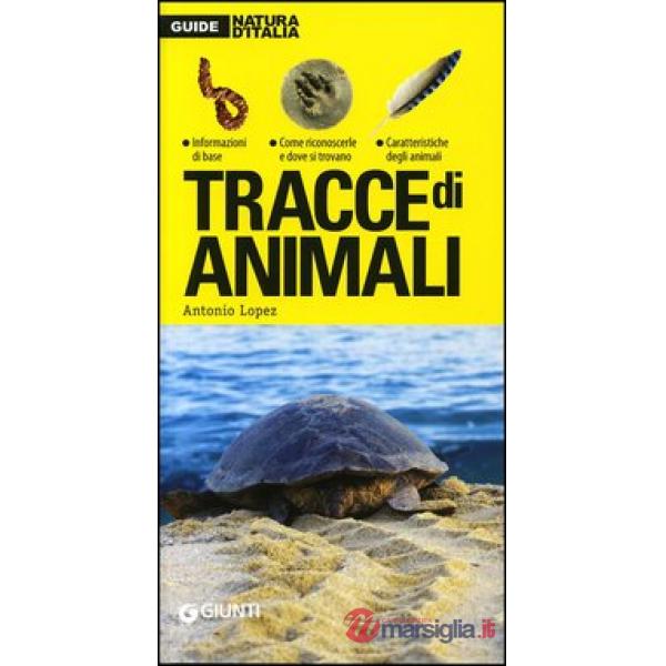 Tracce di animali