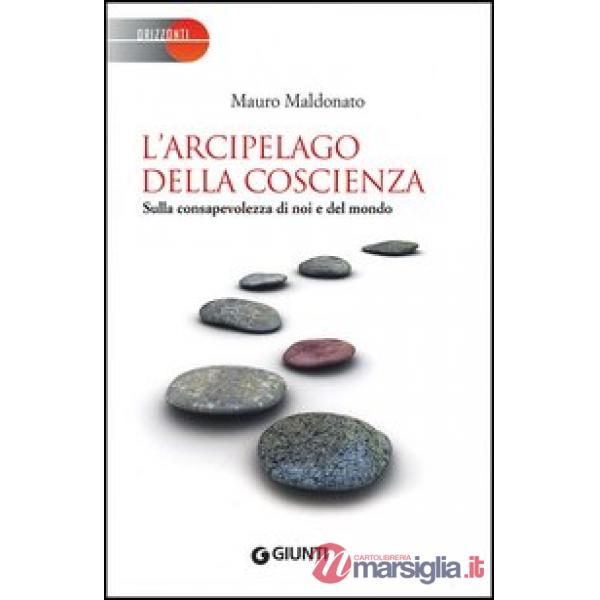 Arcipelago della coscienza. Sulla consapevolezza di noi e del mondo (L')