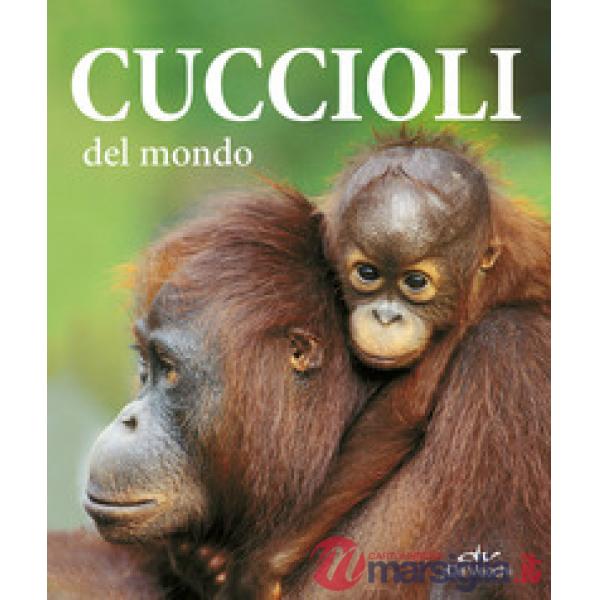 Cuccioli del mondo