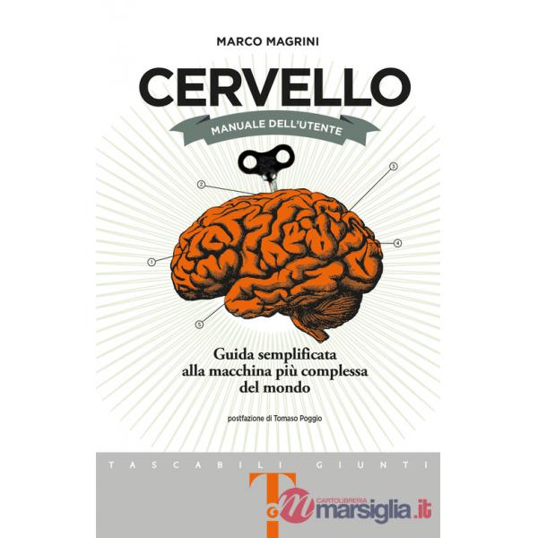 Cervello. Manuale dell'utente. Guida semplificata alla macchina più complessa del mondo