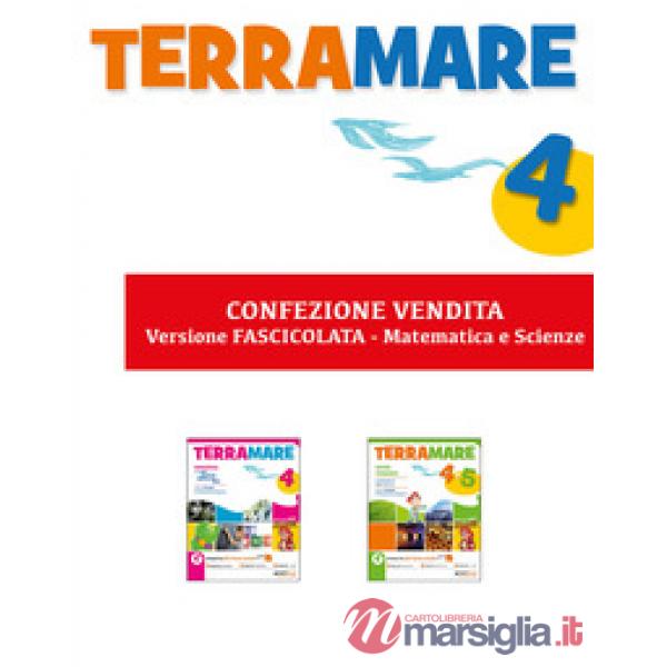 TERRAMARE MATEMATICA 4
