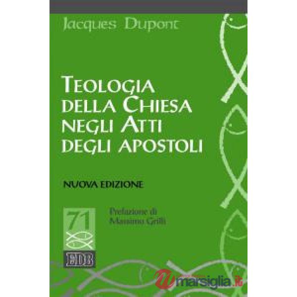 Teologia della Chiesa negli Atti degli Apostoli. Nuova ediz.
