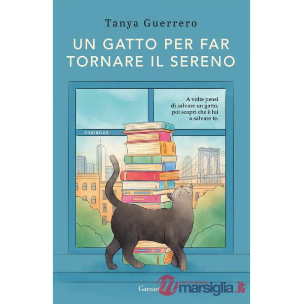 Gatto per far tornare il sereno (Un)