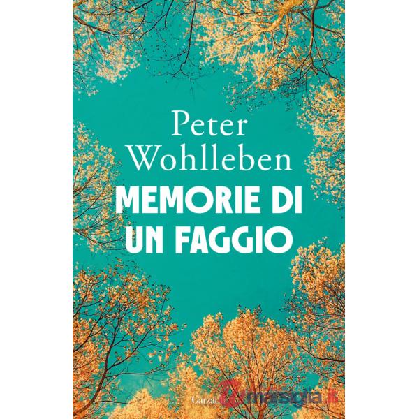 Memorie di un faggio