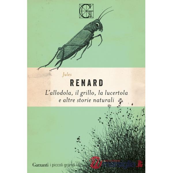 Allodola, il grillo, la lucertola e altre storie naturali (L')