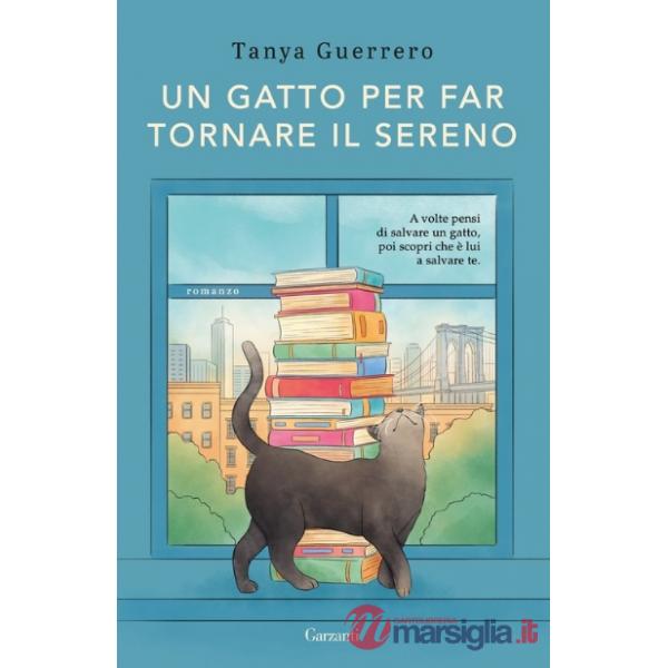 Gatto per far tornare il sereno (Un)