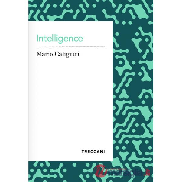 Intelligence