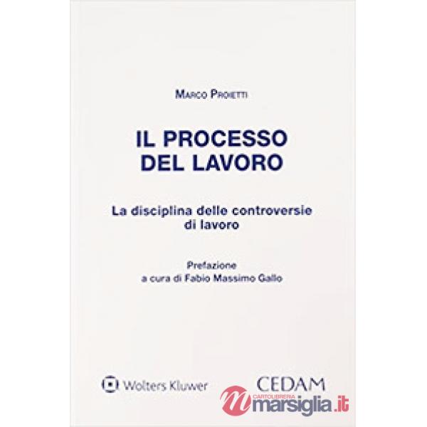 Il processo del lavoro