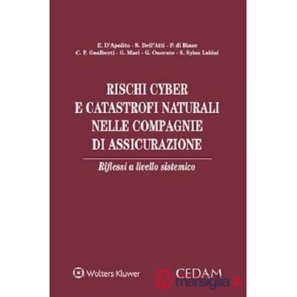 Rischi cyber e catastrofi naturali nelle compagnie di assicurazione riflessi a livello sistemico