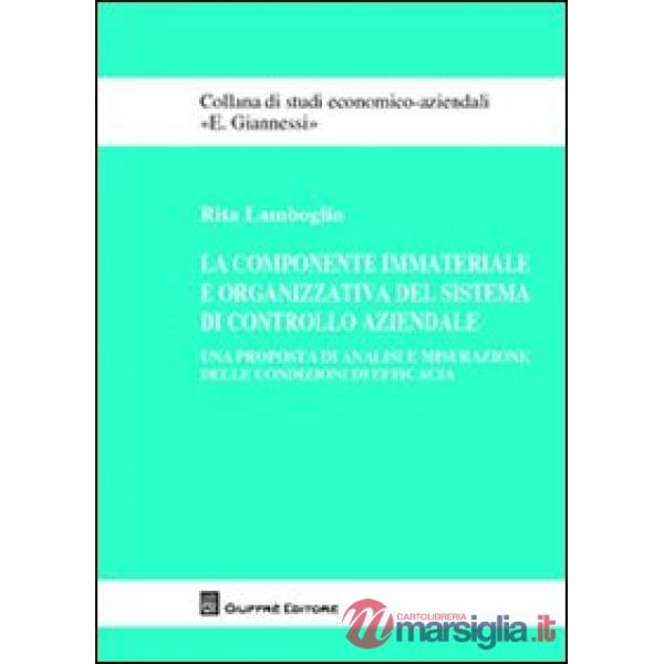 La componente immateriale e organizzativa del sistema di controllo aziendale. Una proposta di analisi e misurazione delle condiz