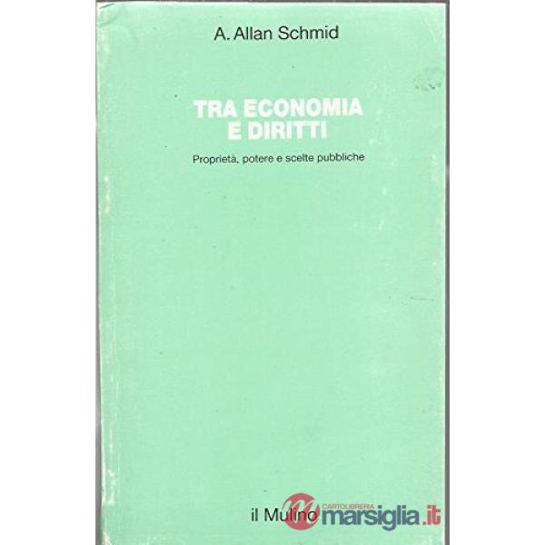 Tra economia e diritti. Proprietà, potere e scelte pubbliche
