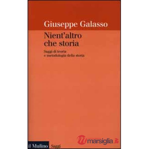 Nient'altro che storia. Saggi di teoria e metodologia della storia