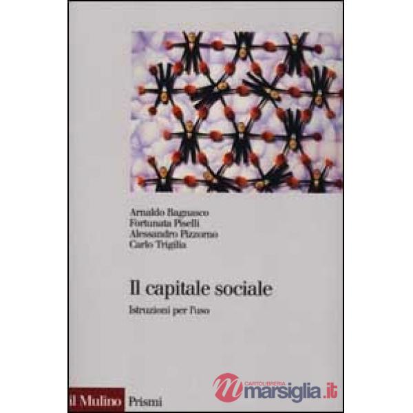 Capitale sociale. Istruzione per l'uso (Il)