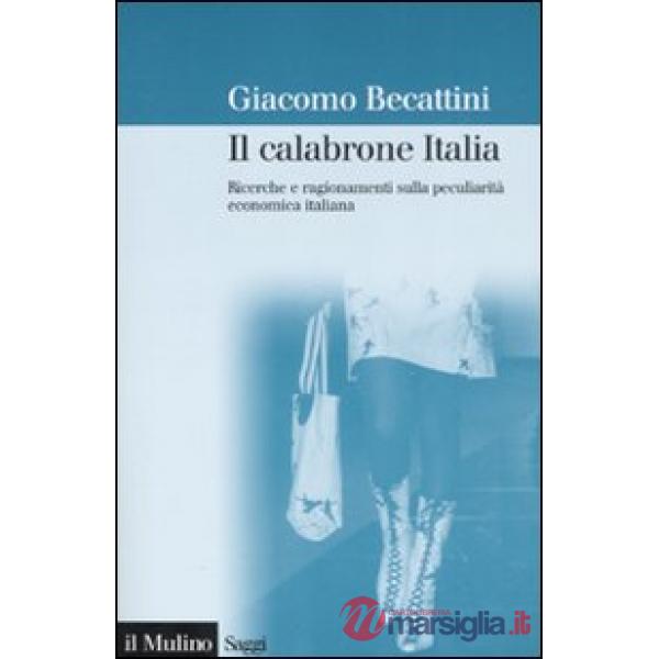 Calabrone Italia. Ricerche e ragionamenti sulla peculiarità economica italiana (