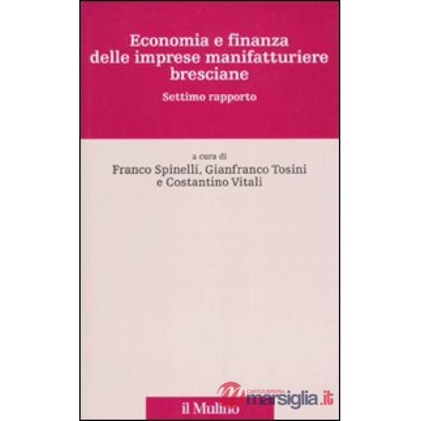 Economia e finanza delle imprese manifatturiere bresciane. Settimo rapporto