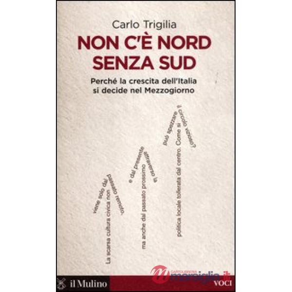 Non c'è Nord senza Sud. Perché la crescita dell'Italia si decide nel Mezzogiorno