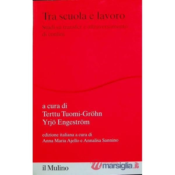 Tra scuola e lavoro. Studi su transfer e attraversamento dei confini