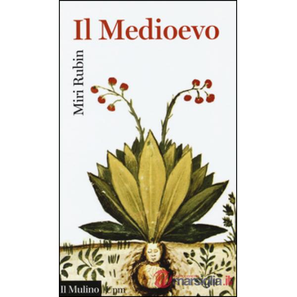 Medioevo (Il)