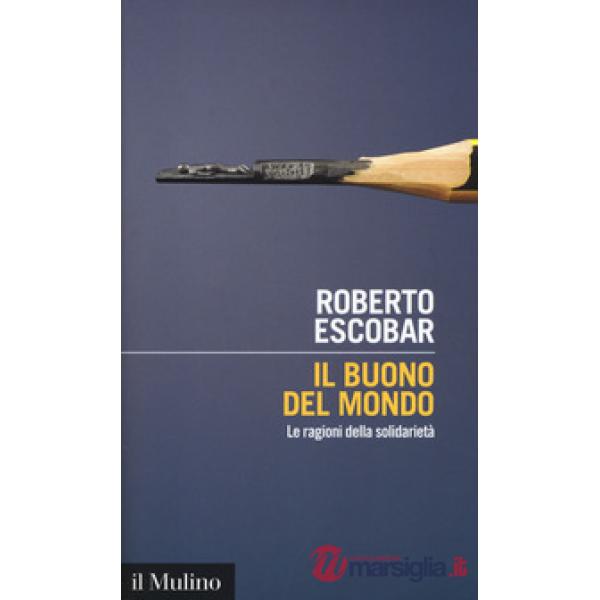 Buono del mondo. Le ragioni della solidarietà (Il)