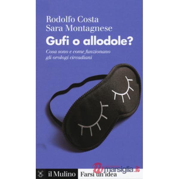 Gufi o allodole? Cosa sono e come funzionano gli orologi circadiani