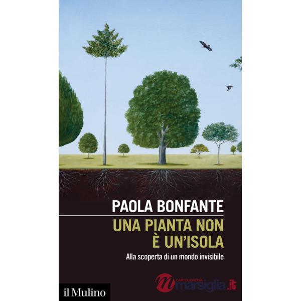 Pianta non è un'isola. Alla scoperta di un mondo invisibile (Una)