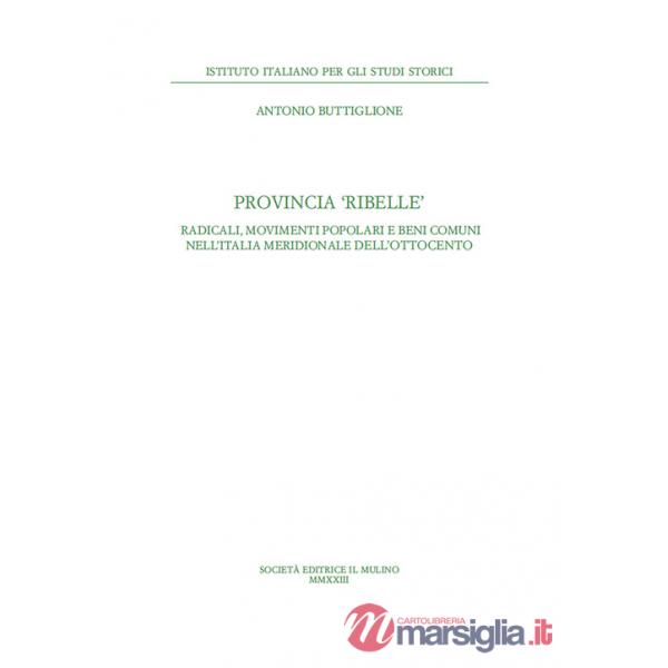 Provincia ribelle. Radicali, movimenti popolari e beni comuni nell'Italia meridionale dell'Ottocento