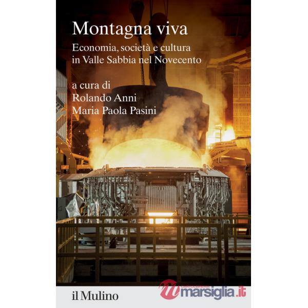 Montagna viva. Economia, società e cultura in Valle Sabbia nel Novecento