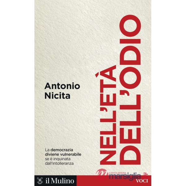 Nell'età dell'odio. Sfera pubblica, intolleranza e democrazia