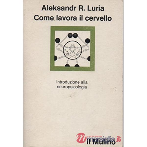 Come lavora il cervello