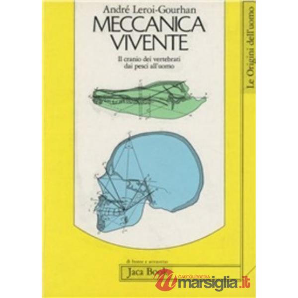 Meccanica vivente. Il cranio dei vertebrati dai pesci all'uomo