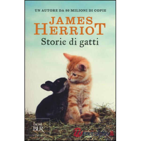 Storie di gatti