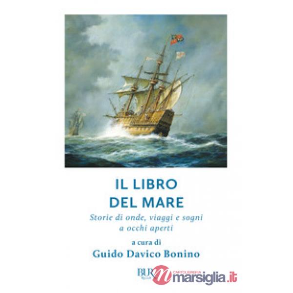 Libro del mare. Storie di onde, viaggi e sogni a occhi aperti (Il)