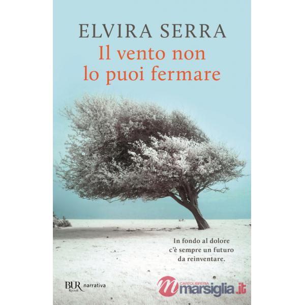 Vento non lo puoi fermare (Il)