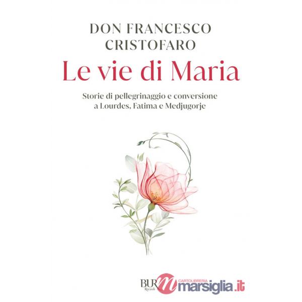 Vie di Maria. Storie di pellegrinaggio e conversione a Lourdes, Fatima e Medjugorje (Le)