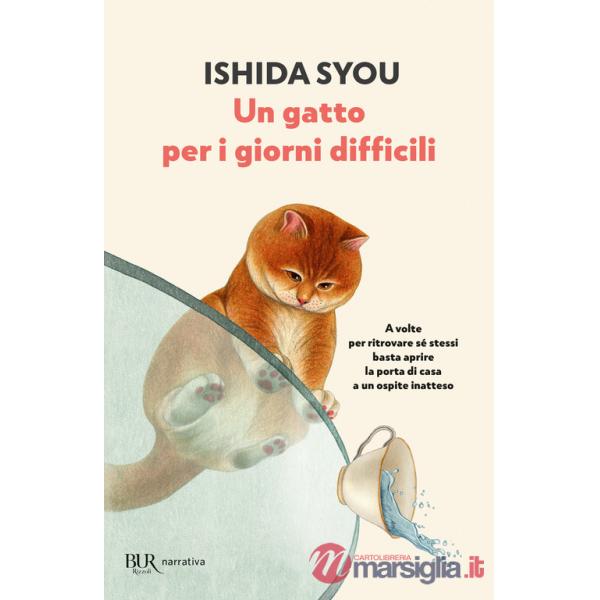 Gatto per i giorni difficili (Un)